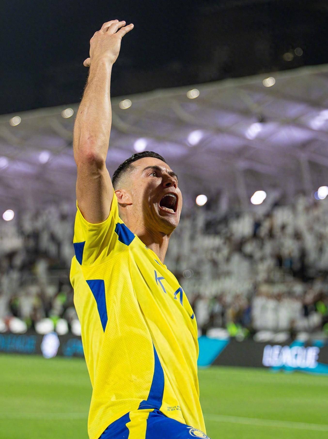 项目已开始 项目已开始